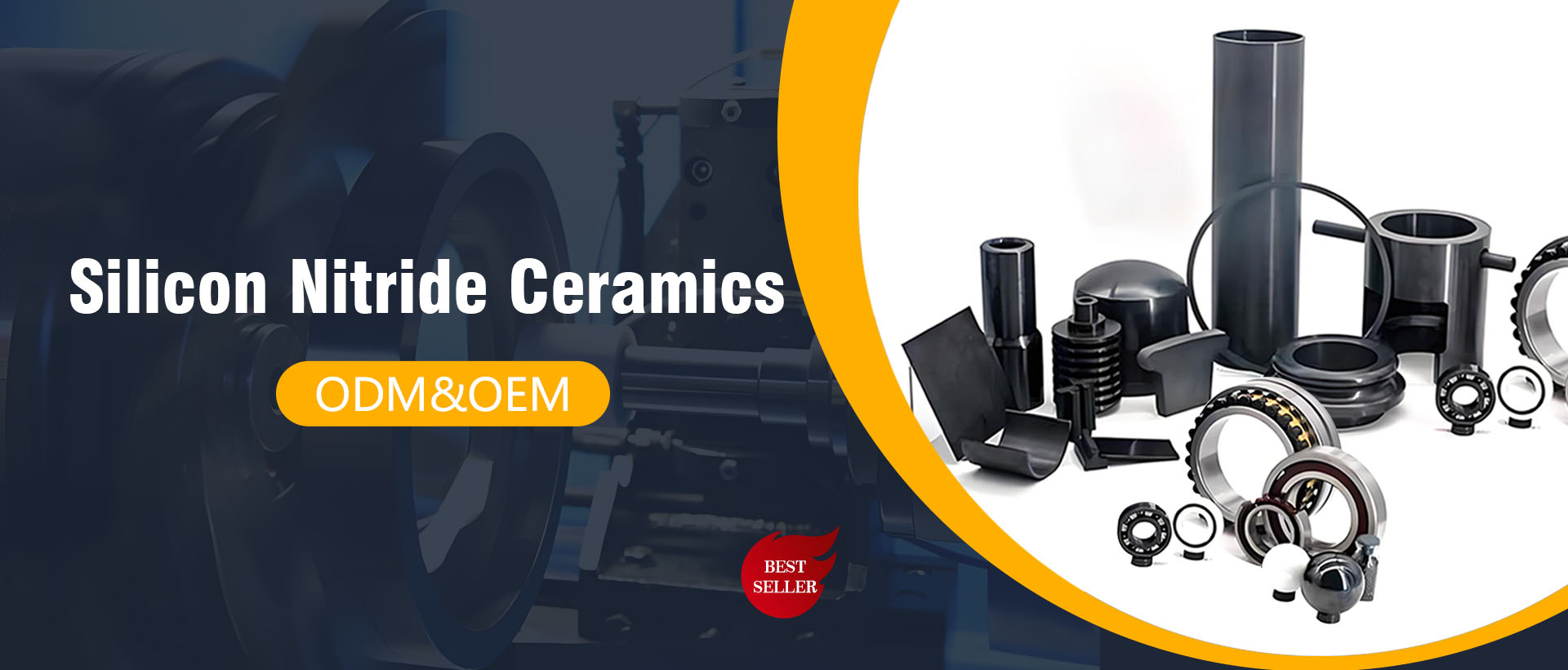 Silicon nitride bearing